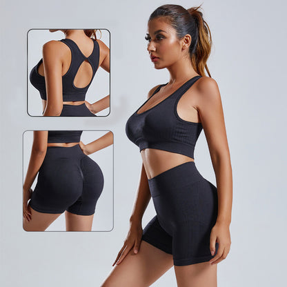 "Seamless 2-Piece Yoga Set – High-Waist Shorts & Vest for Performance & Style"